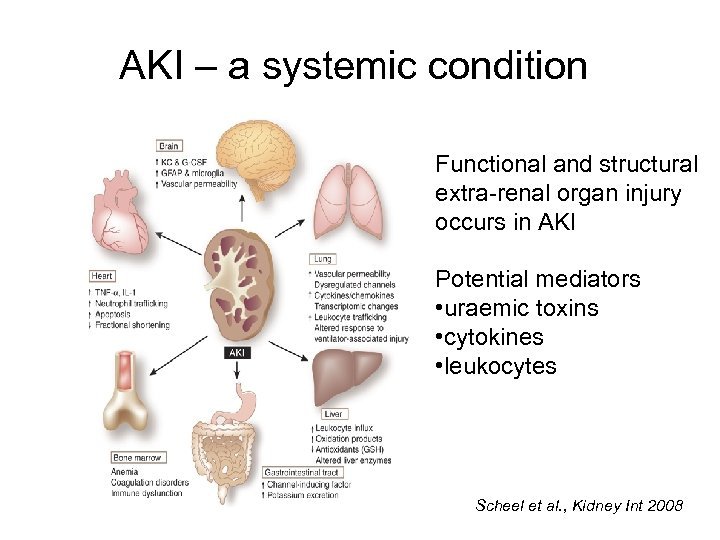 Aki Hayakawa in Re Zeros Character and Motivations Explained
